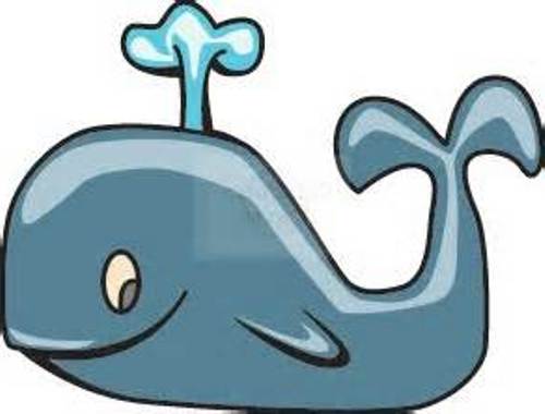 Baby Blue Whale Images Download Png Clipart