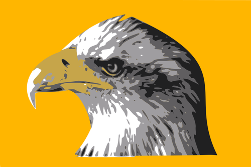 Head Of A Bald Eagle Clipart