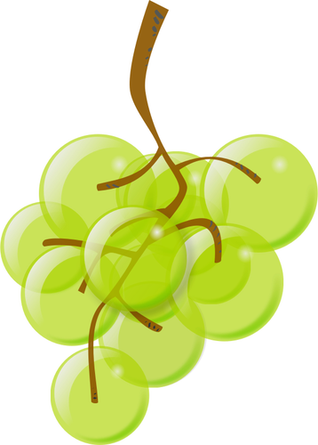 Of Semi-Transparent Green Grapes Clipart