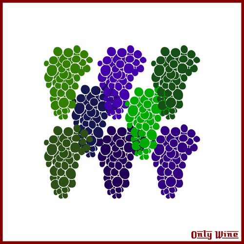 Colorful Grapes Image Clipart
