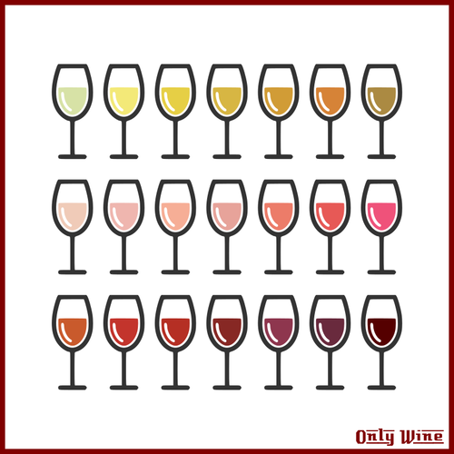 Wine Glasses Illustration Clipart