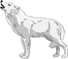 Wolf Wolves Clipart Clipart