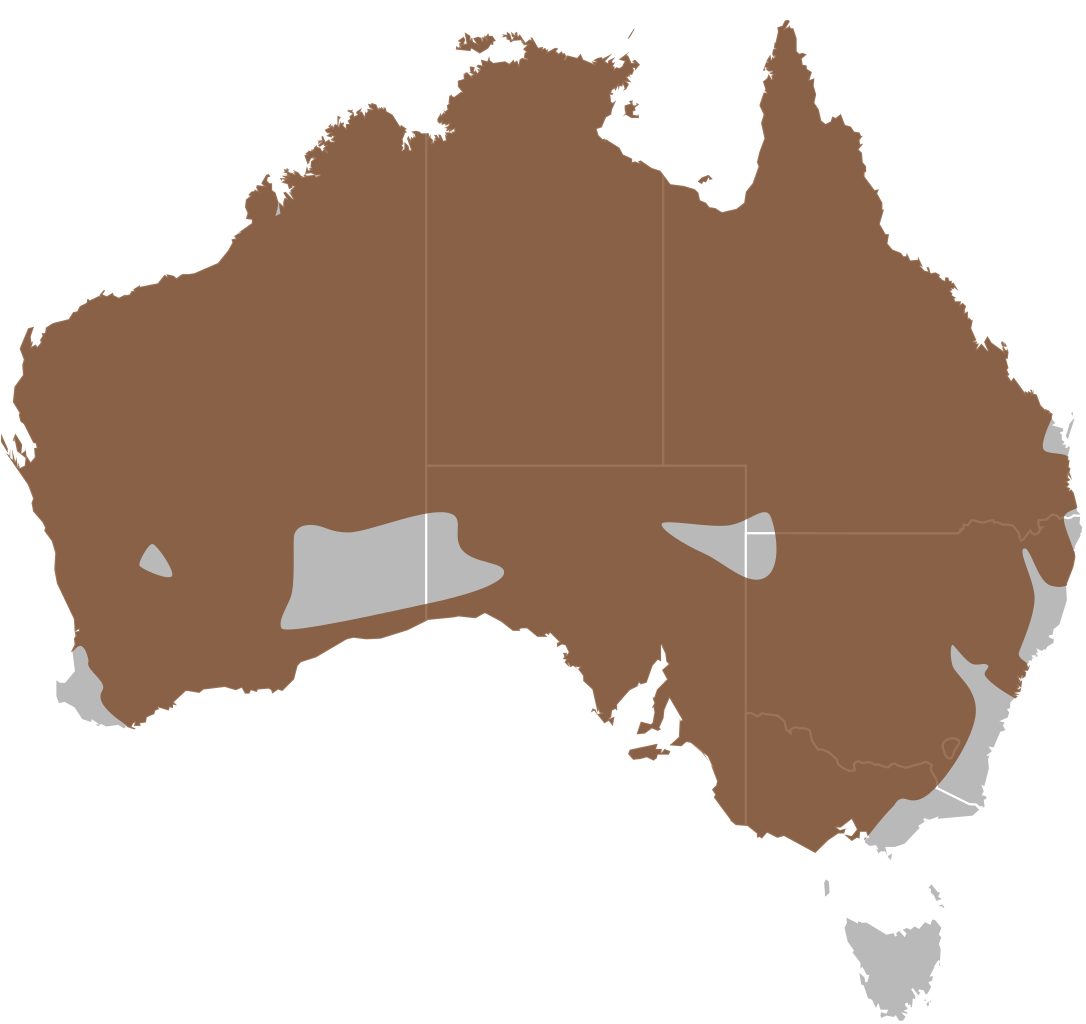Vector Map Distribution Australia Royalty-Free Download HD PNG Clipart