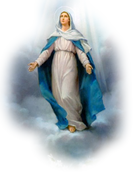 Conception Of Others Feast Guadalupe Lourdes Our Clipart