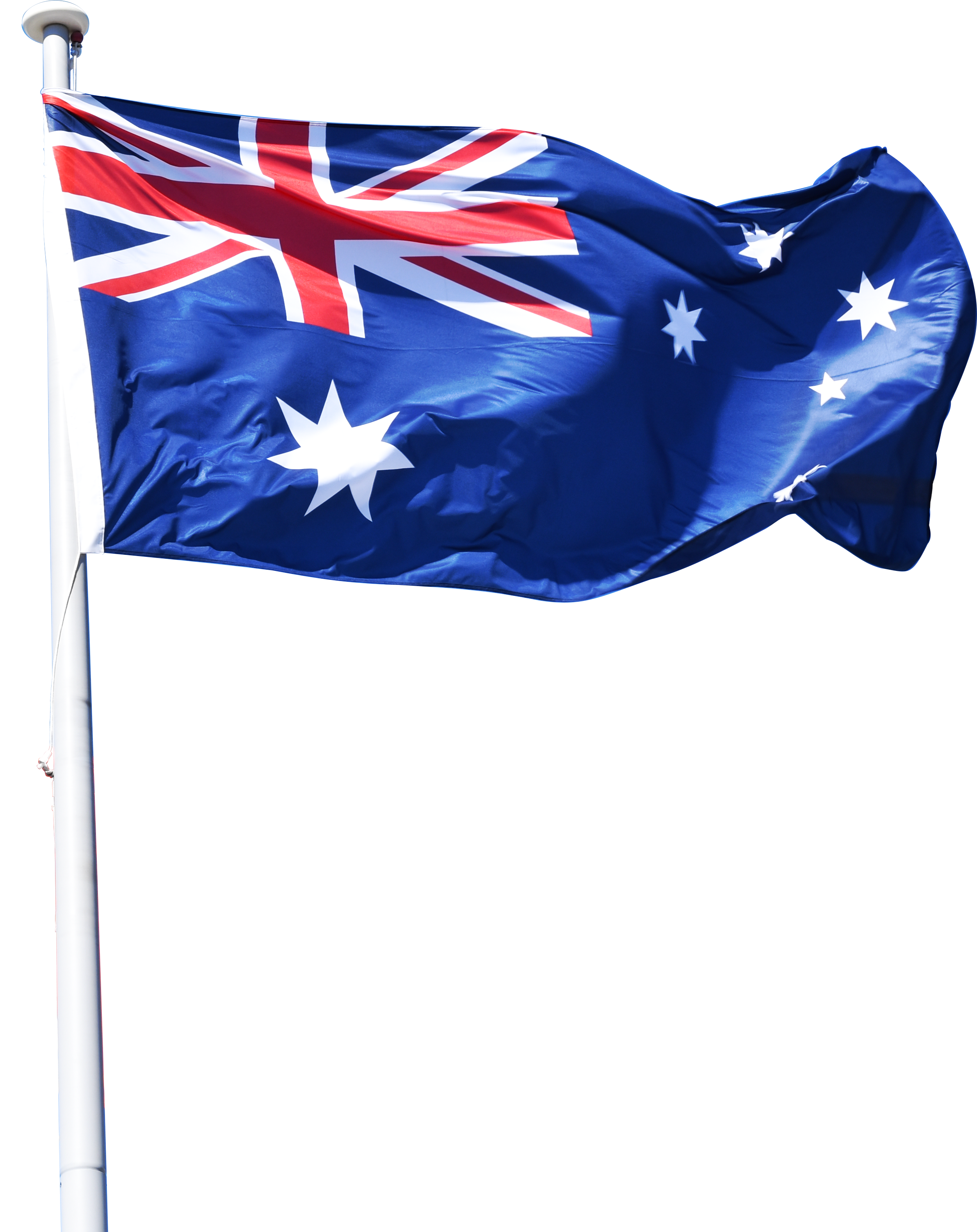 City Australia Information Of Swan Flag Stock.Xchng Clipart