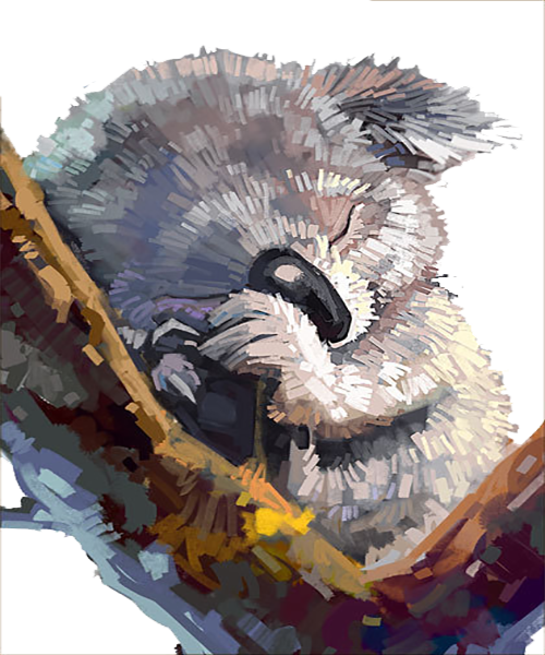 Lazy Australia Watercolor Koala Painting Drawing Clipart