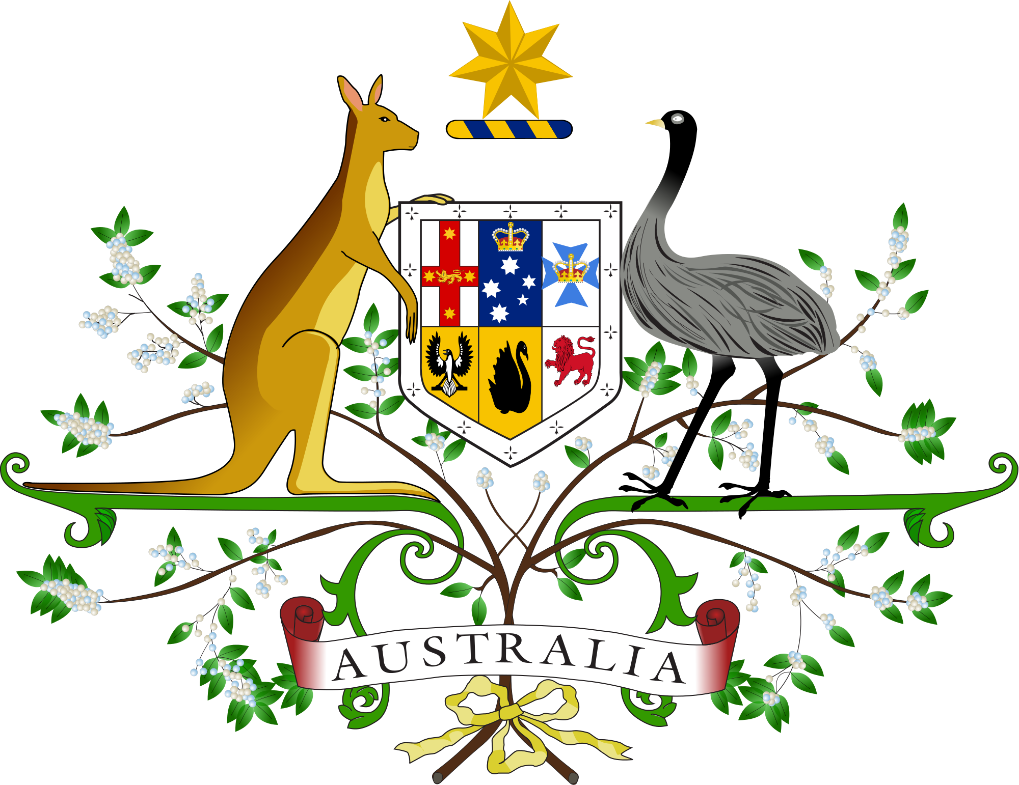Gerb Australia Star Usa Coat National Arms Clipart