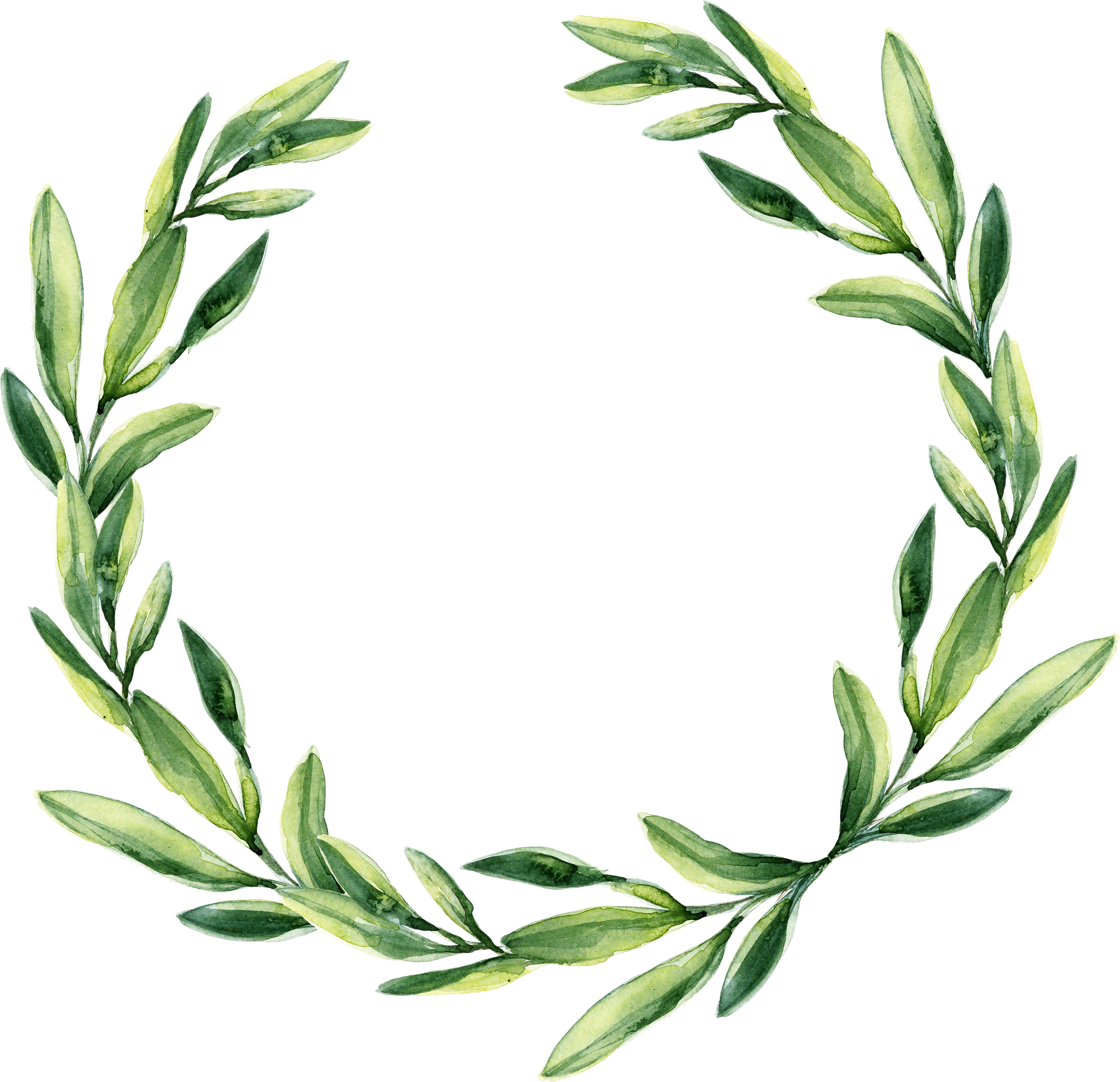 Leaf Garland Gift Wreath Watercolor Green Wedding Clipart