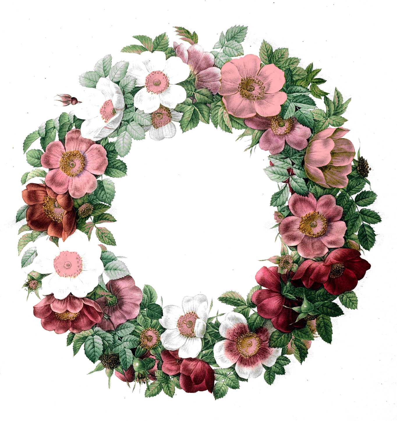 Free Vintage Rose Wreath The Graphics Fairy Clipart