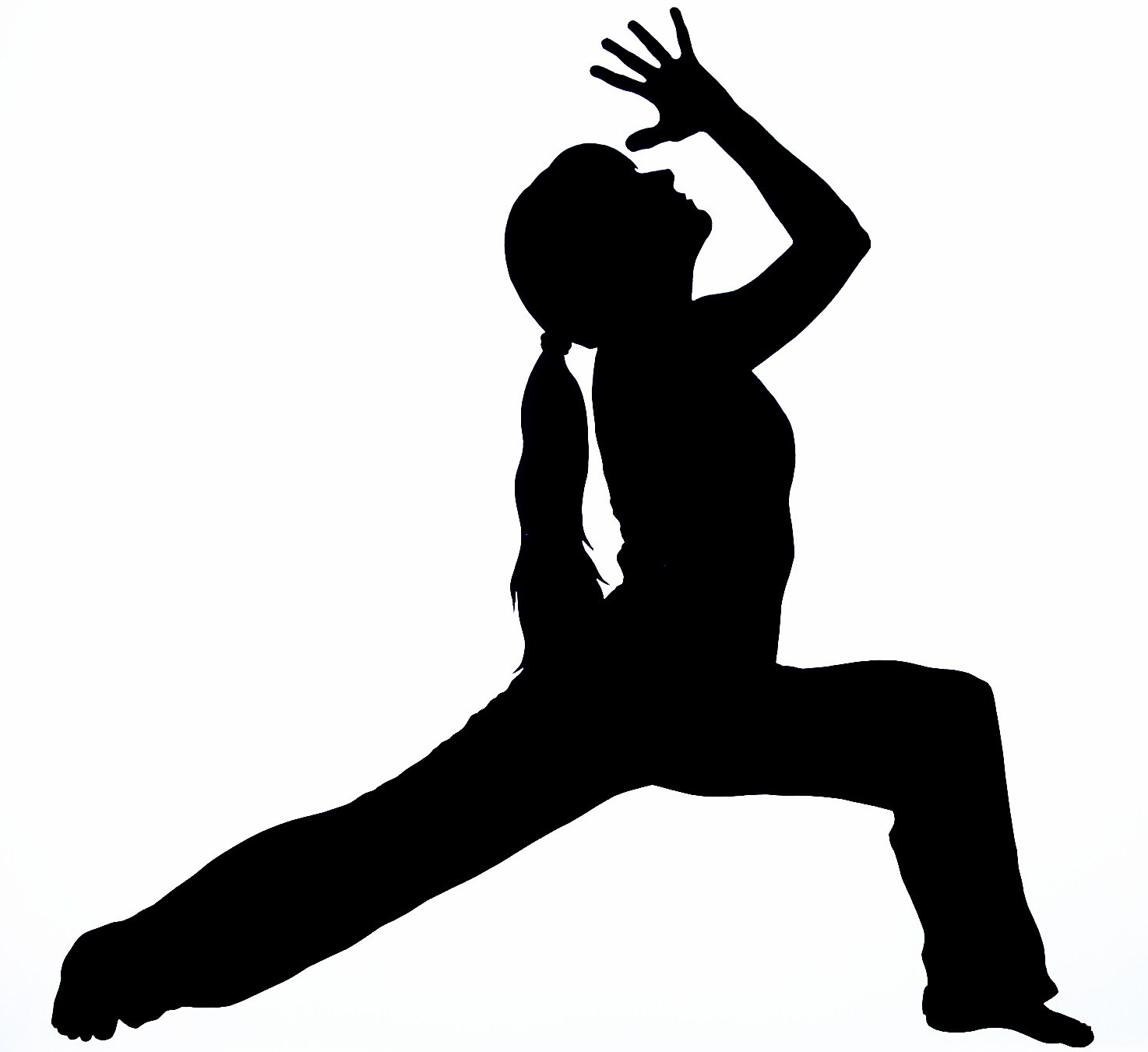 Download Free Yoga Silhouette Yoga Silhouette Stock Photos C