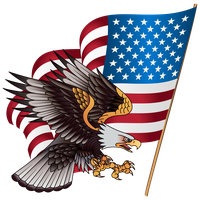 Download Eagle American Bald Head Transparent Free Clipart HD Clipart ...