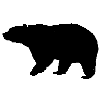 Standing Black Bear Drawing Images Clipart PNG Image