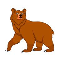 Free Bear Pictures Graphics Illustrations Free Download Png PNG Image