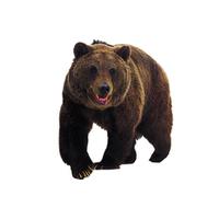 Teddy Bear Png Images PNG Image