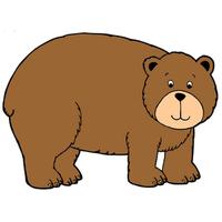 Bear Images Illustrations Photos Hd Image PNG Image