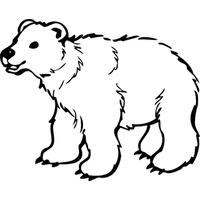 Download Polar Bear Black And White Png Image Clipart PNG Free ...