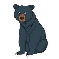 Free Bear Pictures Graphics Illustrations Image Png PNG Image