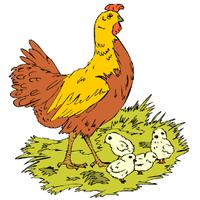 Download Chick Png Image Clipart PNG Free | FreePngClipart