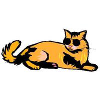 Cool Cat Kid Free Download Png PNG Image