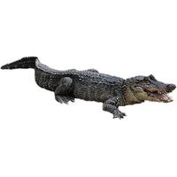 Crocodile For You Image Png Images PNG Image