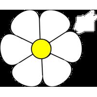 Blue Daisy Flower Images Image Hd Photo Florida PNG Image