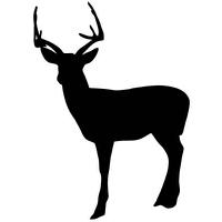 Clip Art Deer 2 Free Download Png Pool PNG Image