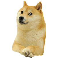 Download Shiba Inu Doge Dogecoin Free Transparent Image HD Clipart PNG ...