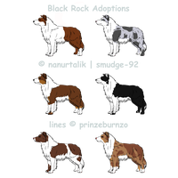 Download Chihuahua Breed Dog Companion Snout Others Clothes Clipart PNG ...