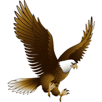 Download Eagle Category Png, Clipart and Icons | FreePngClipart