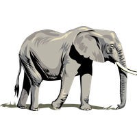 Elephant Blue Images Download Png Pool PNG Image