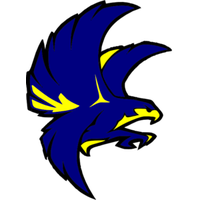 Download Falcon 3 Falcon Fans Png Image Clipart PNG Free | FreePngClipart