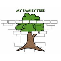Download Family Tree Category Png, Clipart and Icons | FreePngClipart
