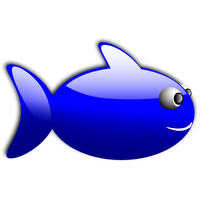 Fish Shark Image Png Images Florida PNG Image