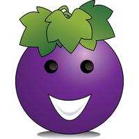 Green Grapes Related Keywords Free Download Png Pool PNG Image