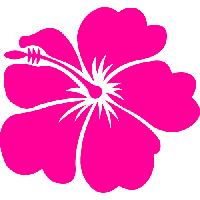Hawaiian Flower Hawaii Hd Photos Florida PNG Image
