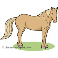 Free Horse Pictures Graphics Illustrations Png Images Shirt PNG Image