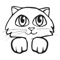 Download Kitten Category Png, Clipart and Icons | FreePngClipart