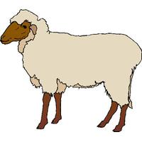 Download Lamb Category Png, Clipart and Icons | FreePngClipart