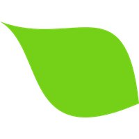 Green Leaf Vector For Download About Files PNG Image
