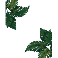 Leaf Musa Euclidean Vector Green Frame Basjoo PNG Image