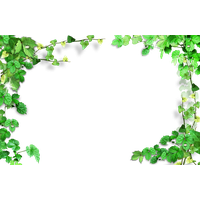 Leaves Frame,Plant Green Frame Free Download PNG HQ PNG Image