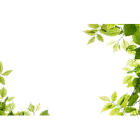 Green Leaves Leaf Frame PNG File HD PNG Image