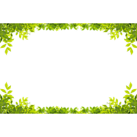 Leaf Photography Shutterstock Royalty-Free Green Border Leaves PNG Image