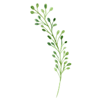 Watercolor Green Flowers Painting Download Free Image PNG Image