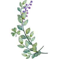 Decoration Life Leaves Wedding Watercolor Bride Second PNG Image