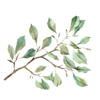 Leaf Leaves Watercolour Watercolor Flowers Painting PNG Image