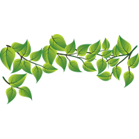 Fashion Leaf Leaves Vector Green Fresh PNG Image