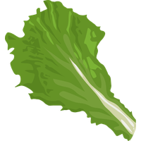 Lettuce Clipart Pool PNG Image