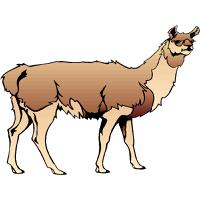 Download Llama Category Png, Clipart and Icons | FreePngClipart