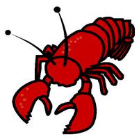 Lobster Claw Graphic Lobster Kid Png Image Shirt PNG Image